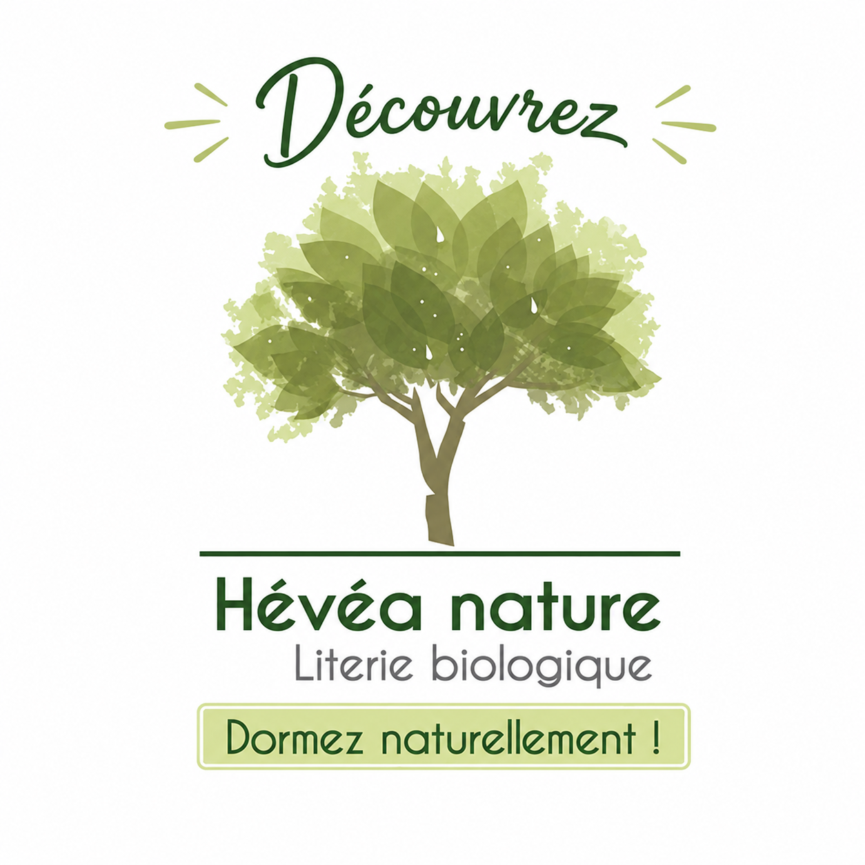 D&eacute;couvrez H&eacute;v&eacute;a nature - Literie biologique